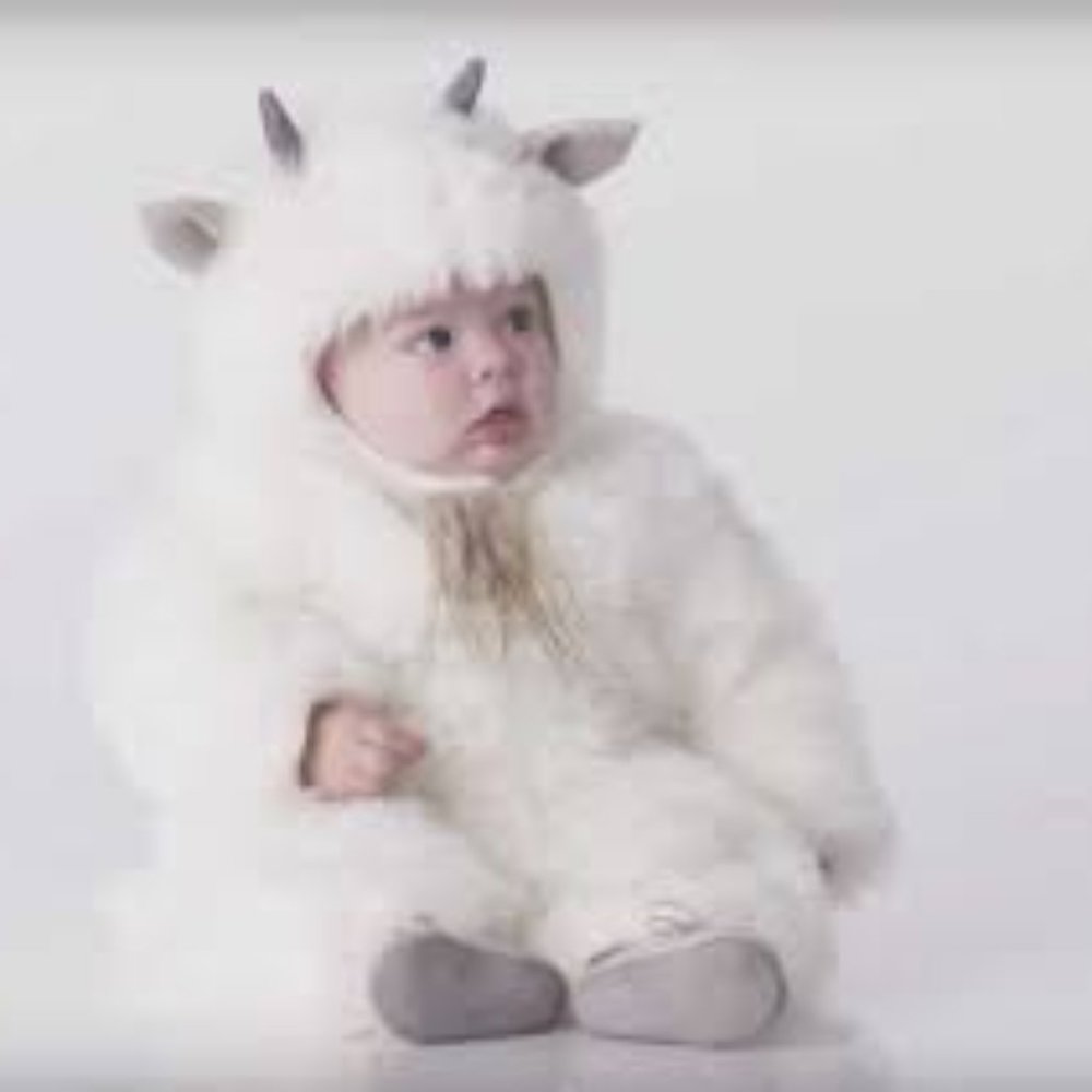 Pottery Barn Kids Goat Halloween Custome
